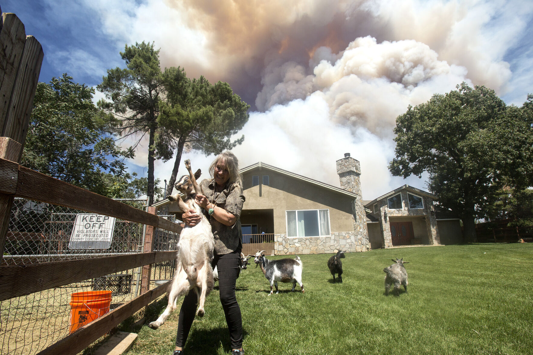 California Wildfires